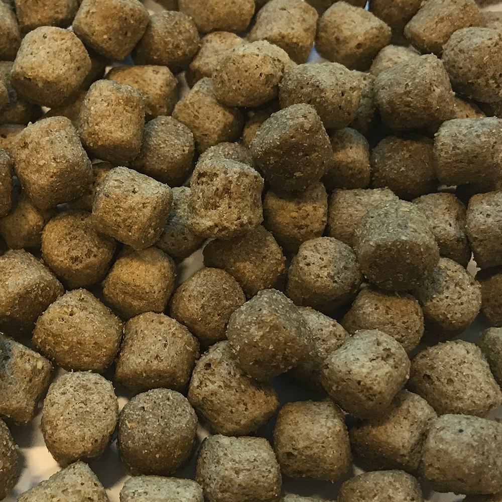 Easterbrooks Senior/Light Fish & Rice Dog Food
