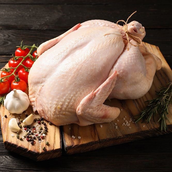 turkey image Chicken used in Easterbrooks Chicken cat food for sensitive stomachs