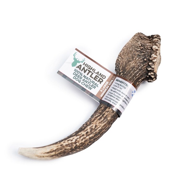 Deer Antler Dog Chews
