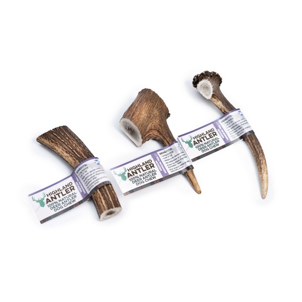 Deer Antler Dog Chews Medium