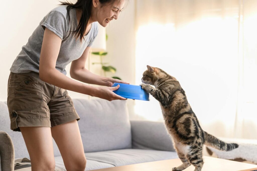 Hydrolysed cat food