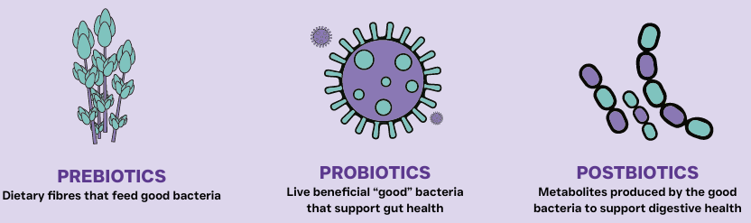 Pre, Pro and Post-biotics. Gastrointestinal & Digestive Hydrolysed dog food