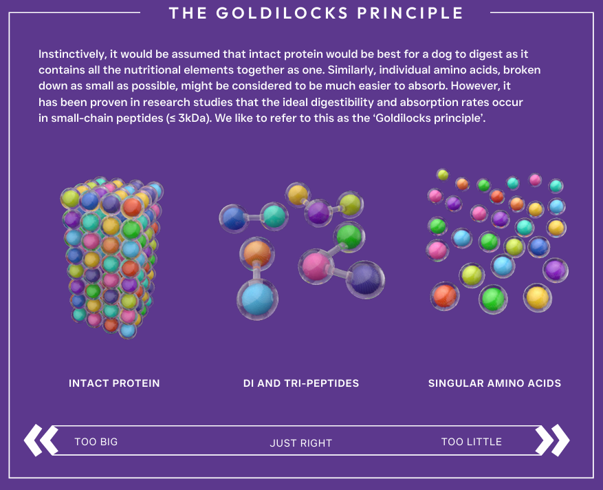 Protein molecules that are 'just right' Hydrolysed dog food
