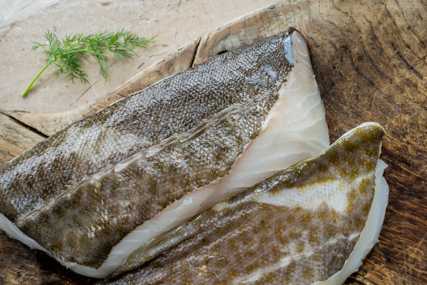 Salmon fillets White Fish Fillets