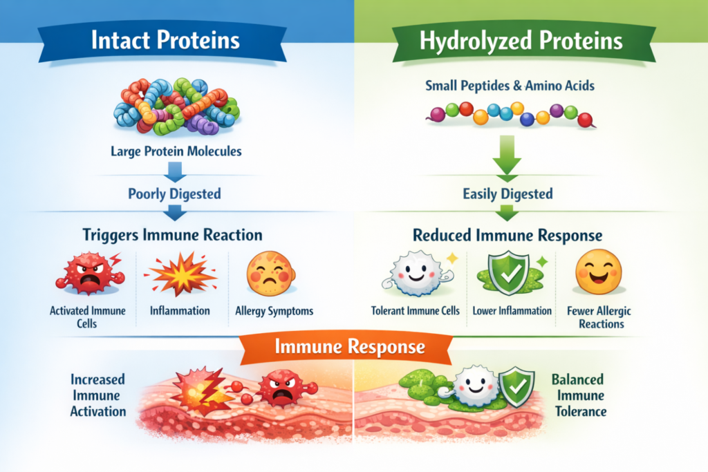 Protein comparison - Hydrolysed vs intact image