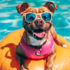 Get Road-Trip Ready with The Pet Experience!